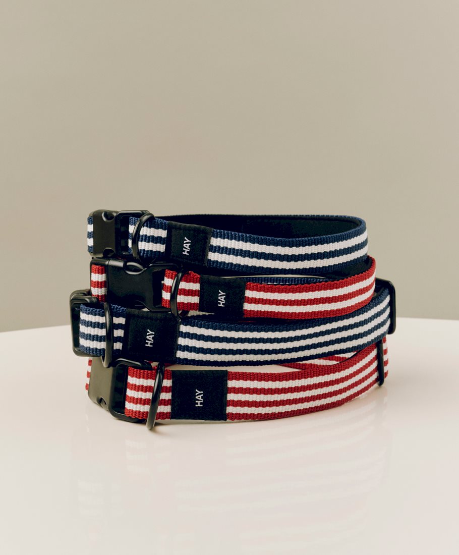 HAY Dogs Collar