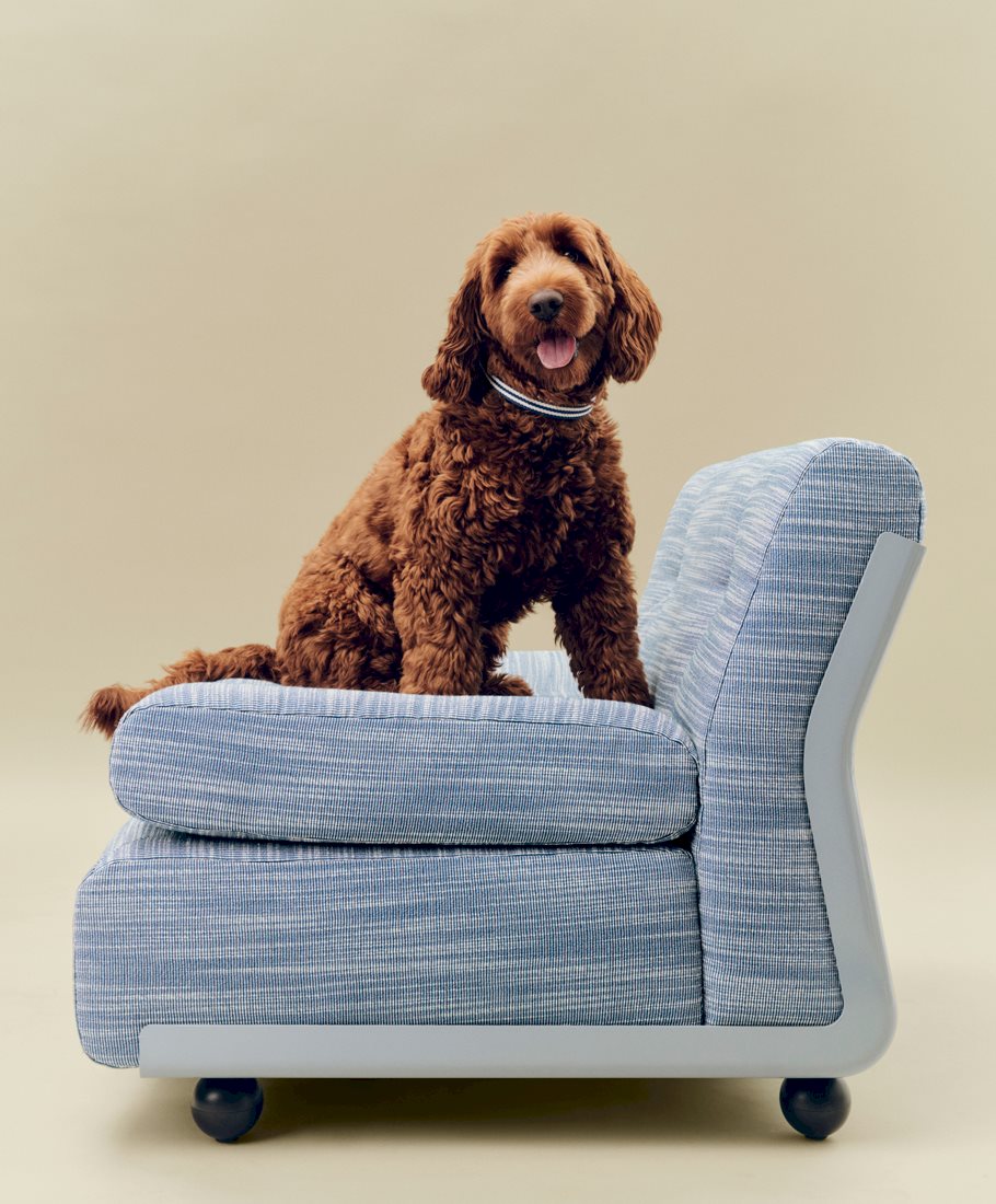 HAY Dogs Collar / Amanta 1 Seater