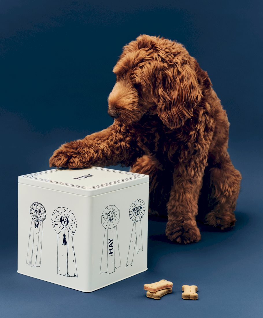 HAY Dogs Food Storage Tin