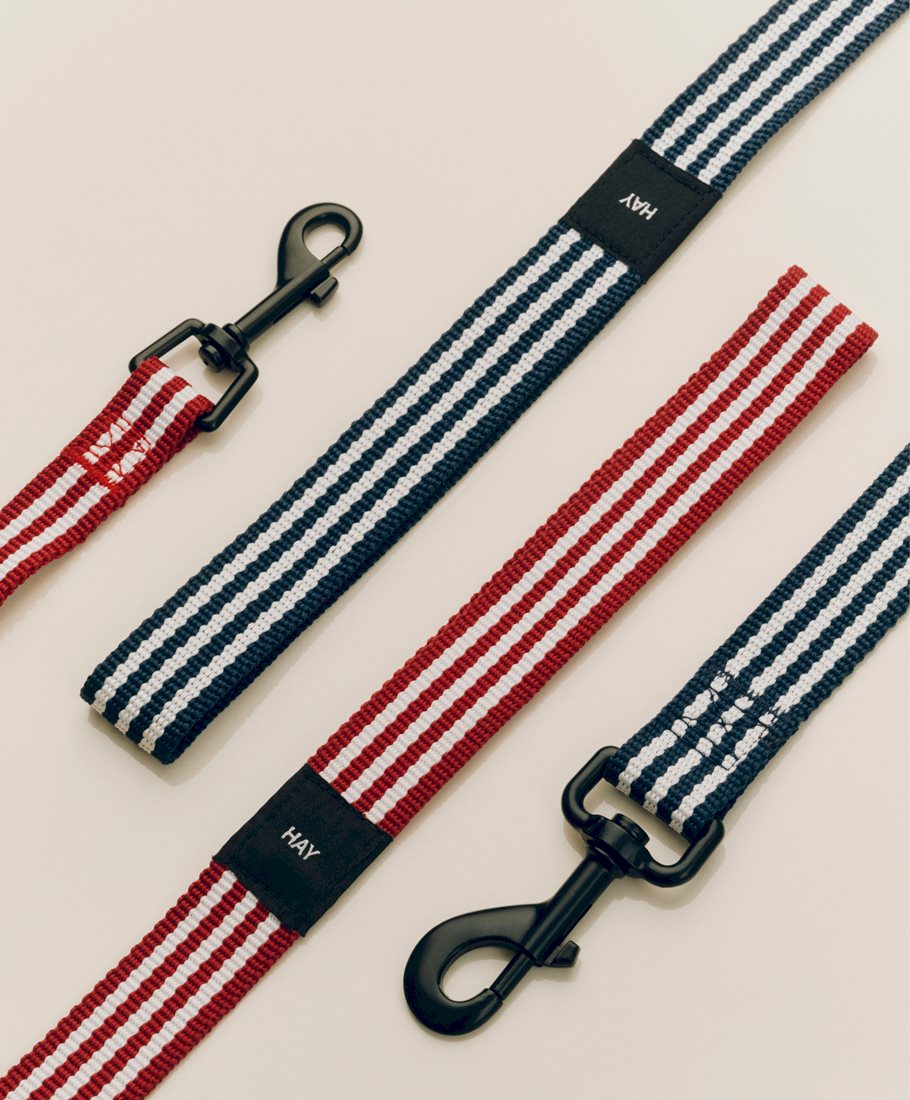 HAY dogs Leash