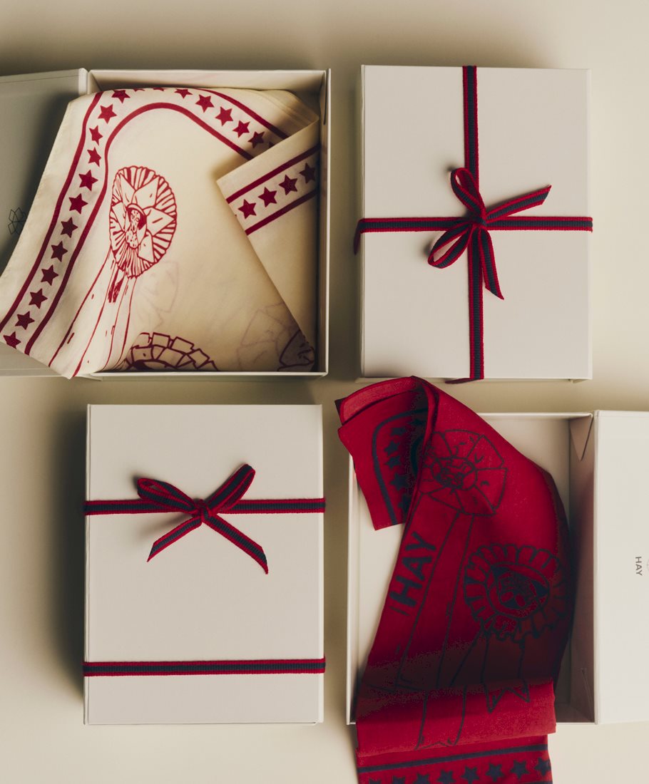 Colour Storage / HAY Dogs Scarf