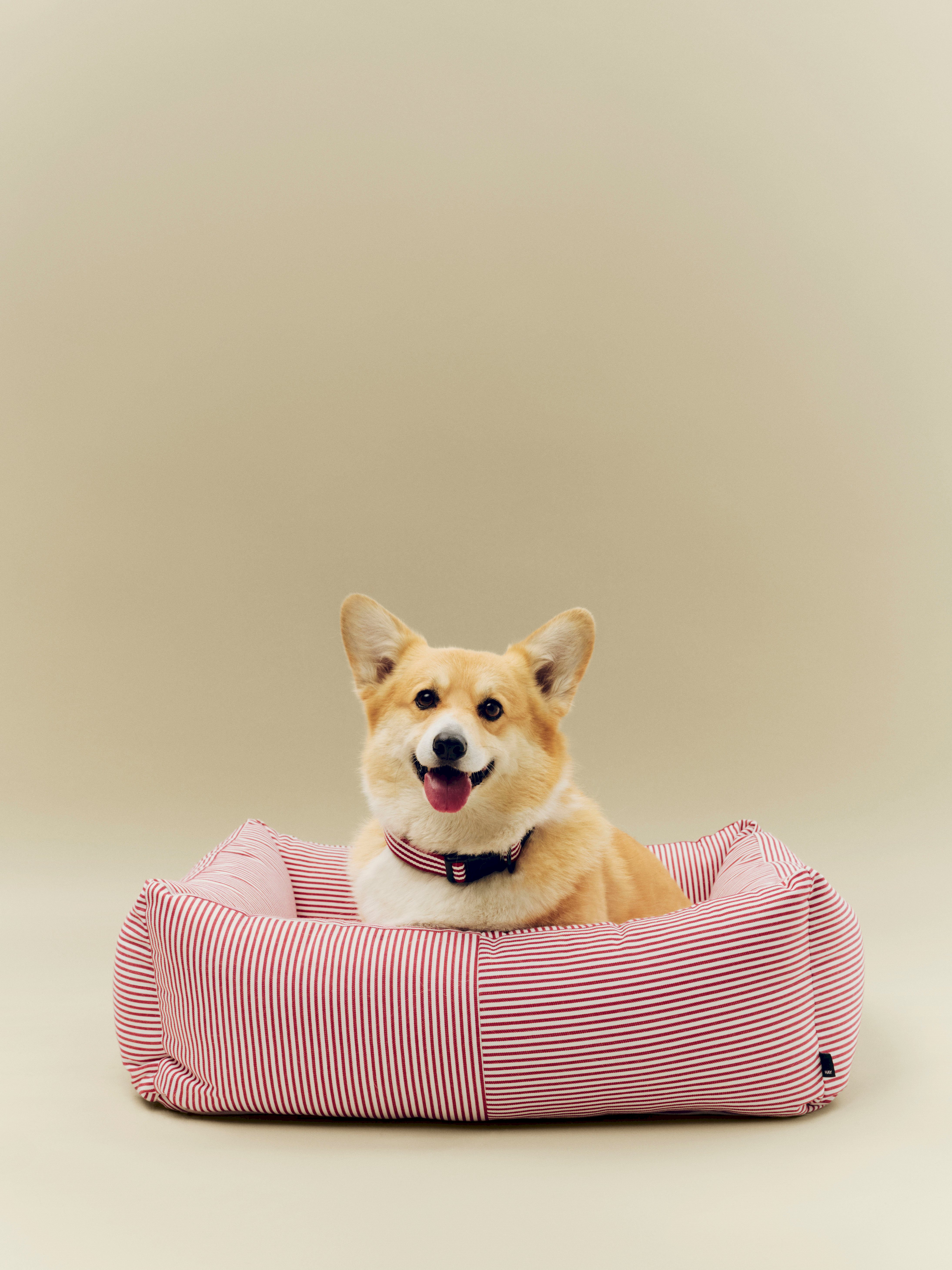 New accessories – enjoy the latest designs from HAY