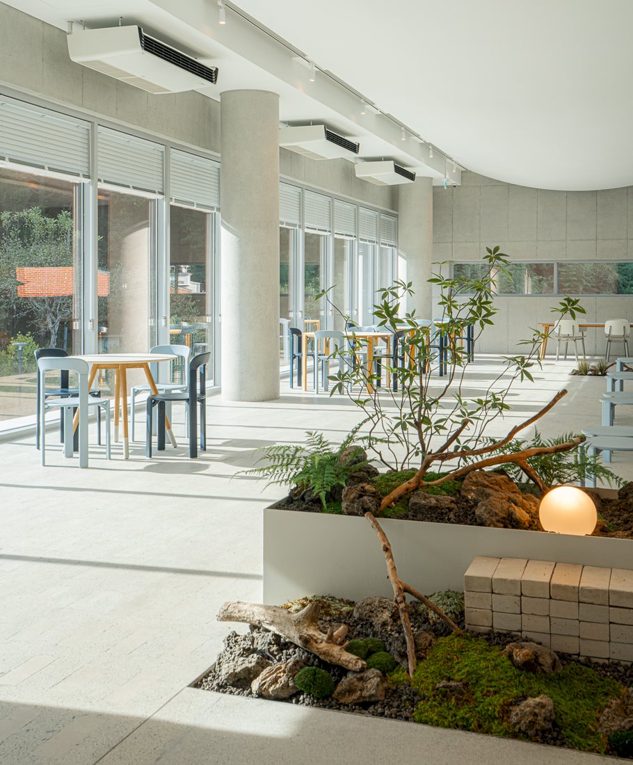 Rey Chair / Rey Table