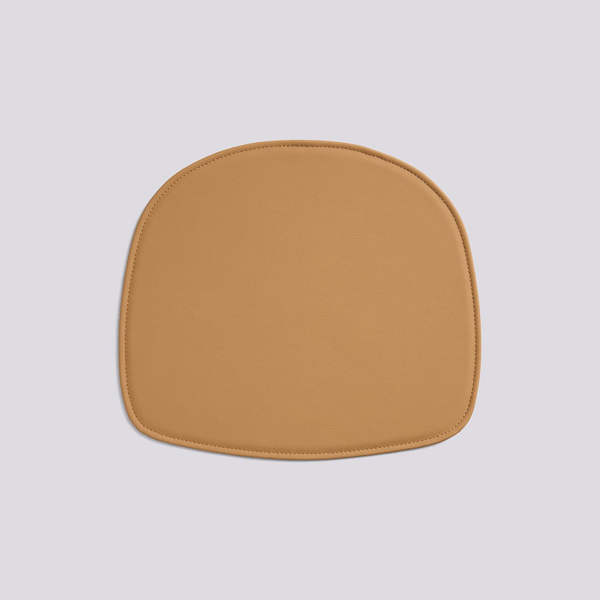 Seat Pad for AAS-Standard foam-Valencia-107-2117