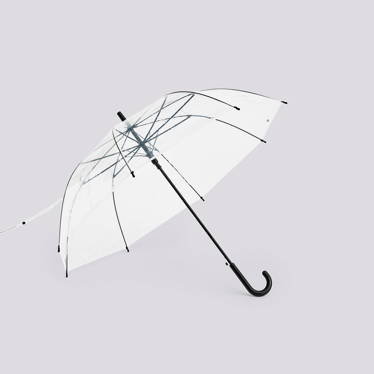 Canopy Umbrella-Clear