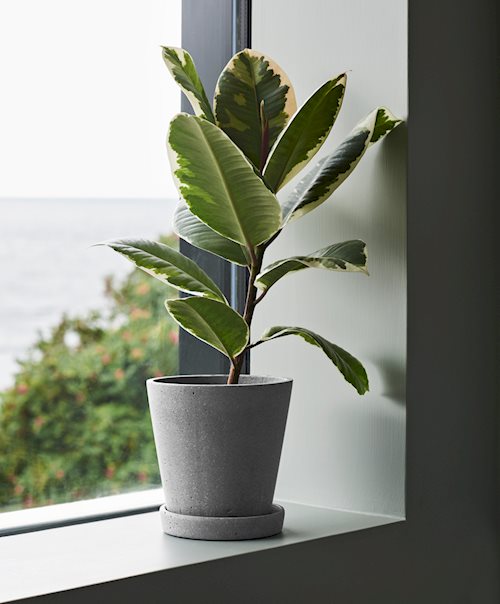 Flowerpot With Saucer by HAY