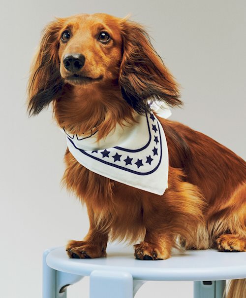 Hay Dogs Scarf (Recycled) by HAY