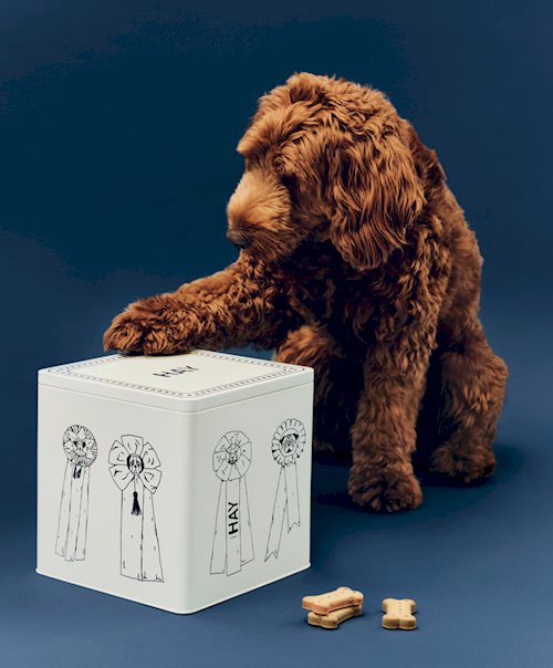 Hay Dogs Food Storage Tin by HAY