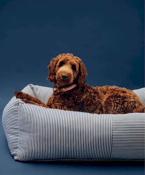 Hay Dogs Bed by HAY
